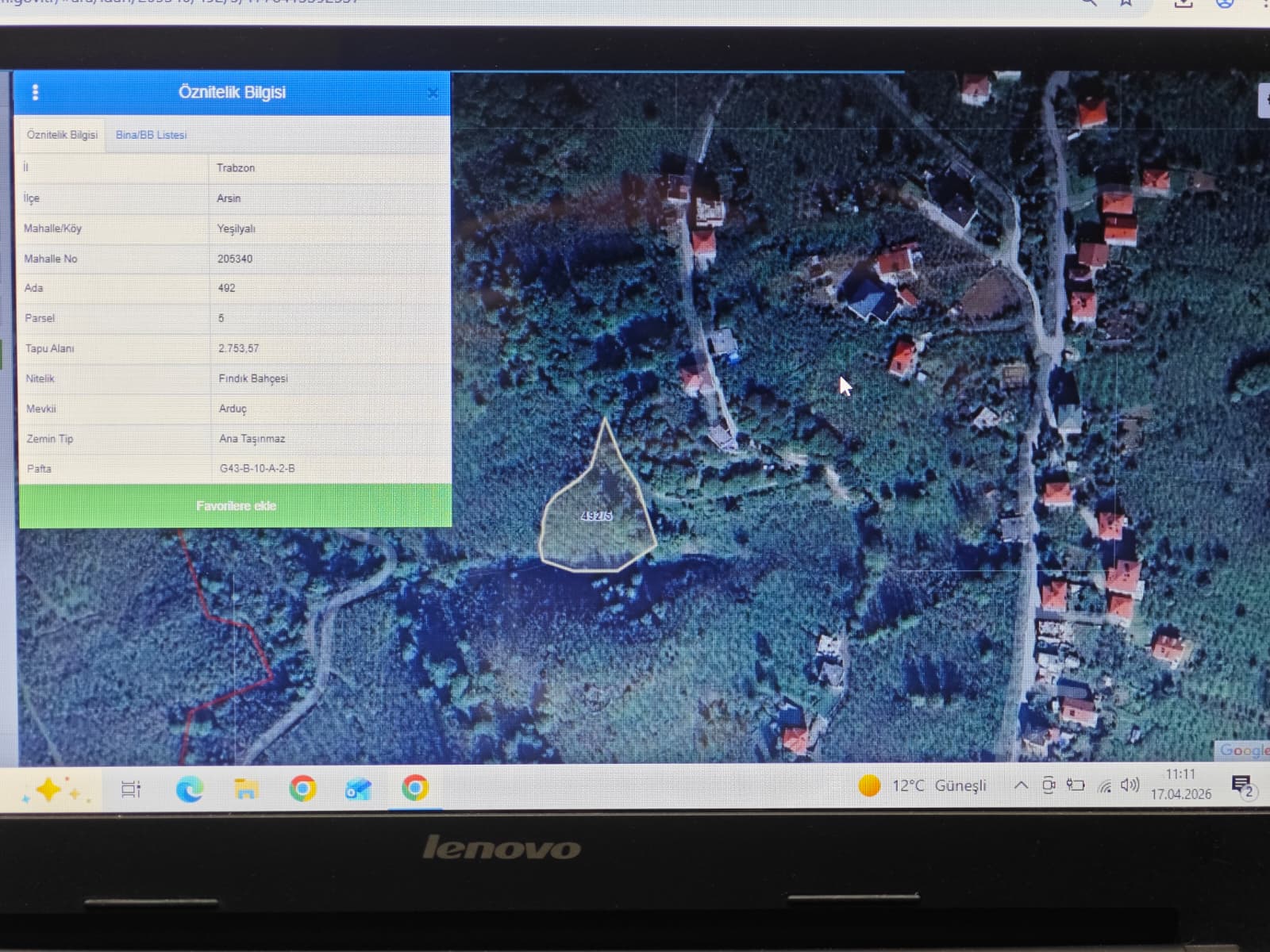 ARSİNDE YATIRIMLIK 2.8 DÖNÜM FINDIK BAHÇESİ